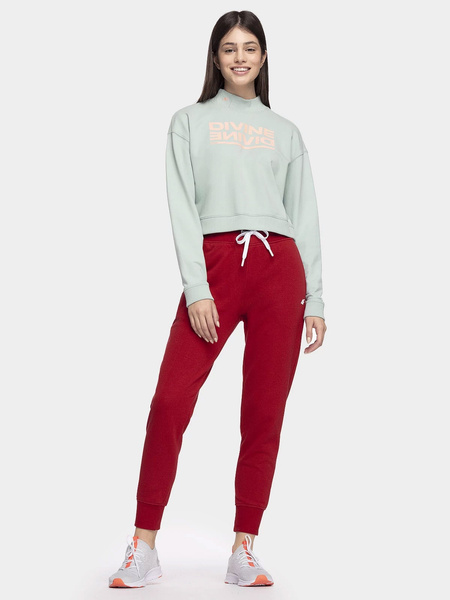 Spodnie dresowe damskie 4F NOSH4-SPDD002-62S