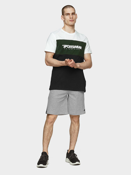 Spodenki męskie 4F H4L21-SKMD010-25M