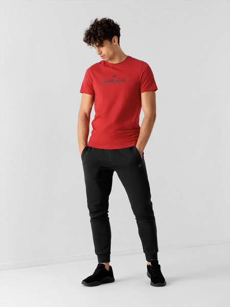 Koszulka męska 4F NOSH4-TSM354-62S