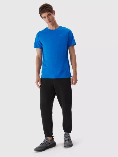 Koszulka męska 4F 4FAW23TTSHM0876-33S