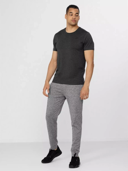 Spodnie dresowe męskie 4F 4FSS23TFTRM167-27M