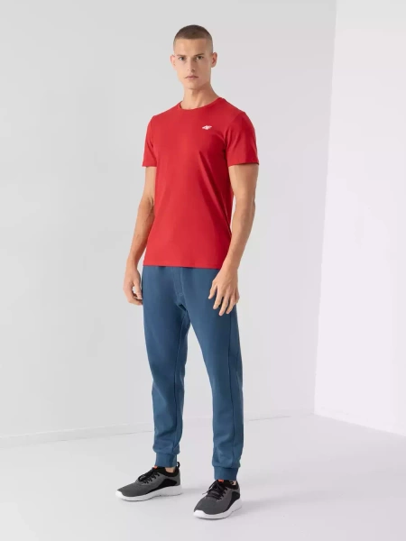 Koszulka męska 4F 4FWSS23TTSHM1229-62S