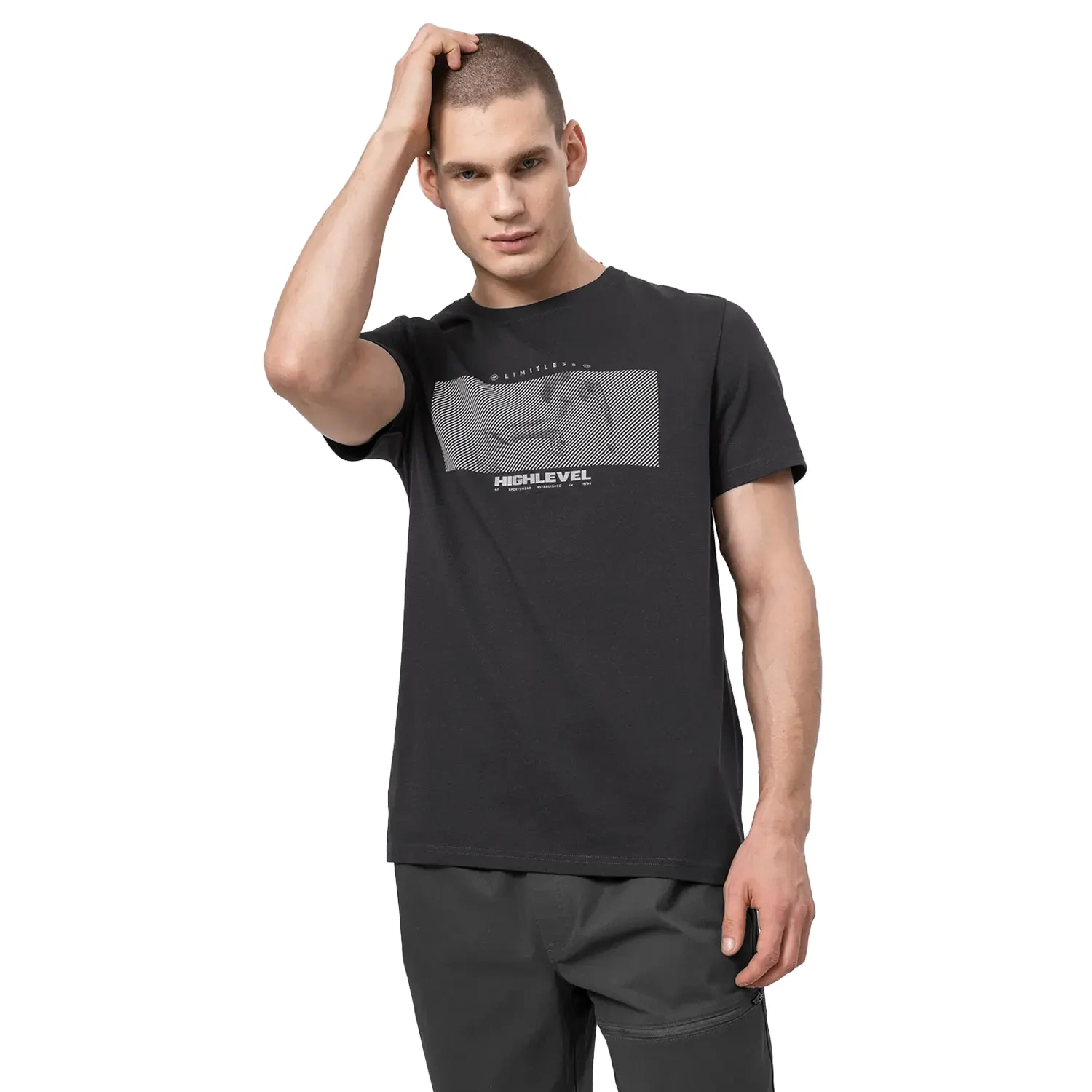 Koszulka męska 4F H4Z22-TSM034-22S