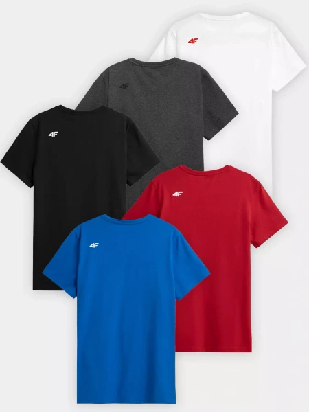 Koszulka męska 4F 4FWSS23TTSHM1230-91S 5PAK
