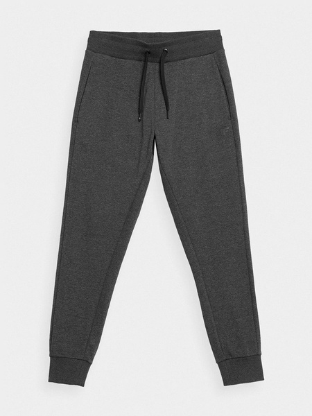 Spodnie dresowe męskie 4F NOSH4-SPMD350-23M