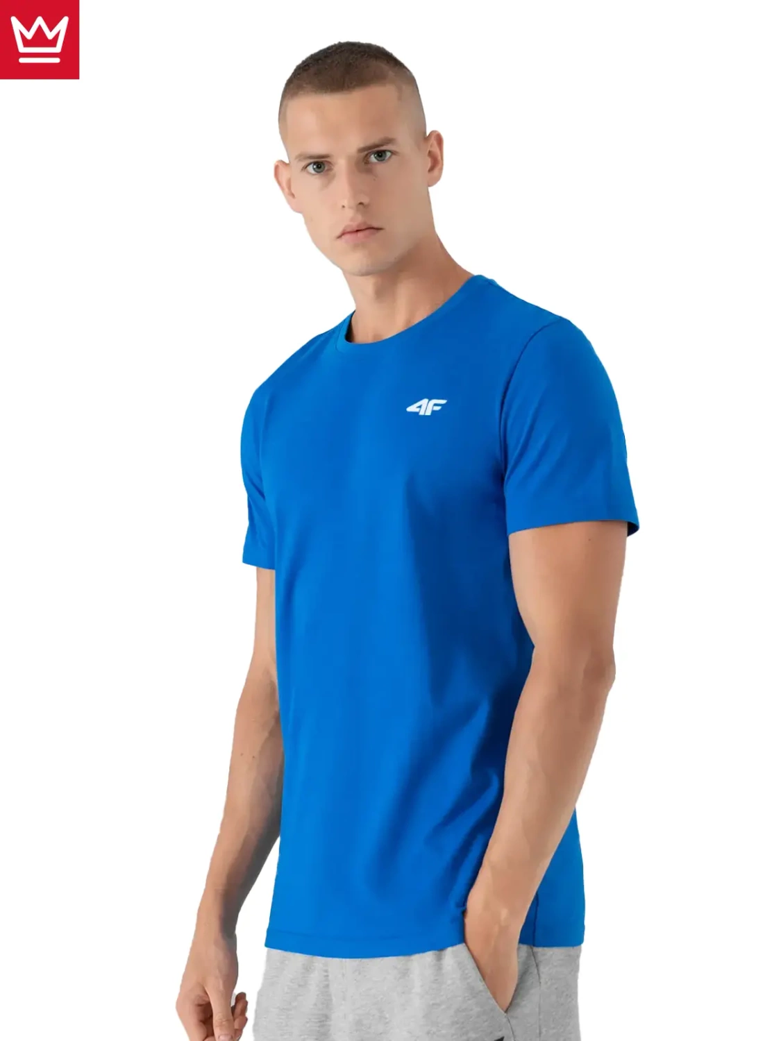 Koszulka męska 4F 4FAW22TTSHM707-33S