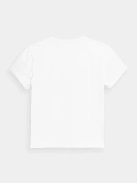 Koszulka męska OUTHORN OTHSS23TTSHM450-10S