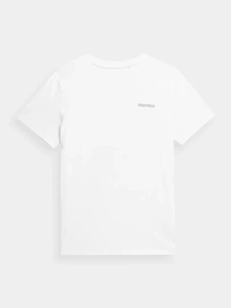 Koszulka męska 4F 4FSS23TTSHM355-10S