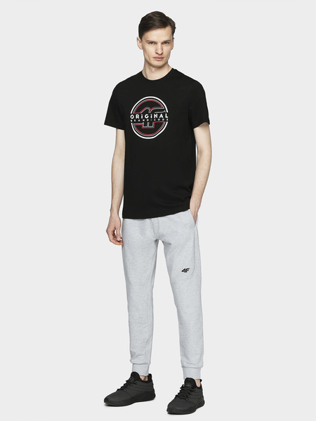 Spodnie dresowe męskie 4F H4L21-SPMD011-27M