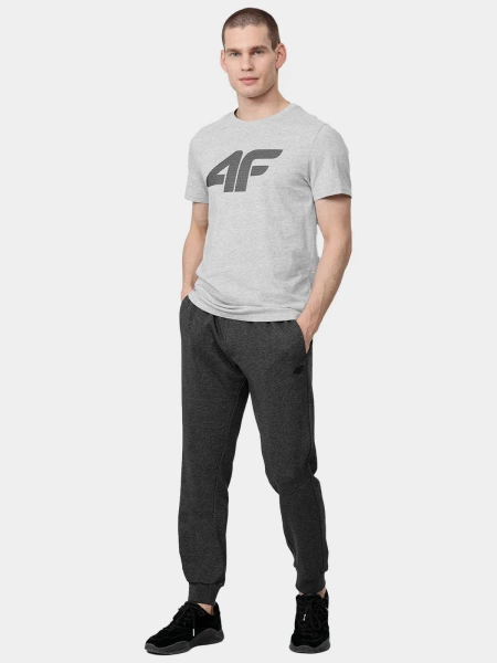 Spodnie dresowe męskie 4F H4Z22-SPMD350-23M