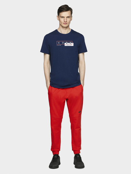 Koszulka męska 4F H4L21-TSM021-31S