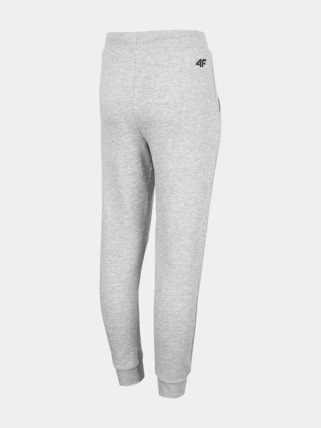 Spodnie dresowe dziecięce 4F HJZ22-JSPMD001-27M