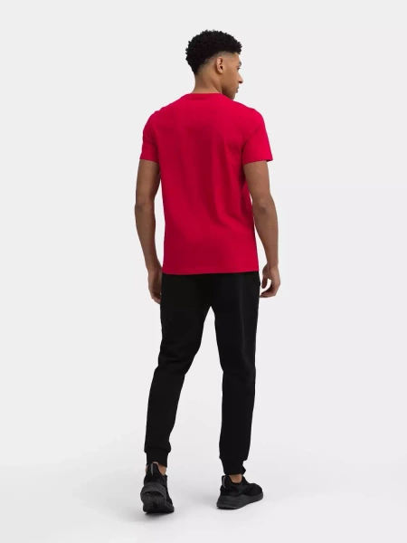 Spodnie dresowe męskie 4F 4FSS23TTROM223-20S