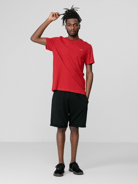 Koszulka męska 4F H4L22-TSM352-62S