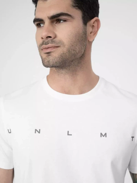 Koszulka męska 4F 4FSS23TTSHM305-10S