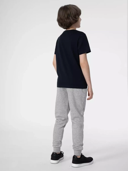 Koszulka dziecięca 4F 4FJSS23TTSHM293-31S