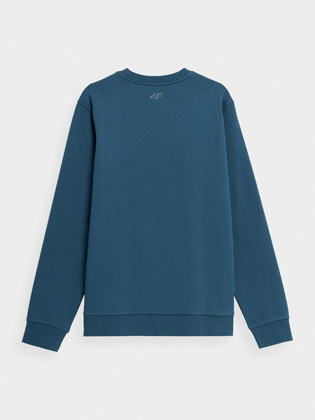 Bluza męska 4F 4FSS23TSWSM349-32S