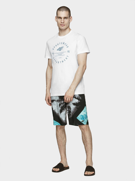 Koszulka męska 4F H4L21-TSM030-10S