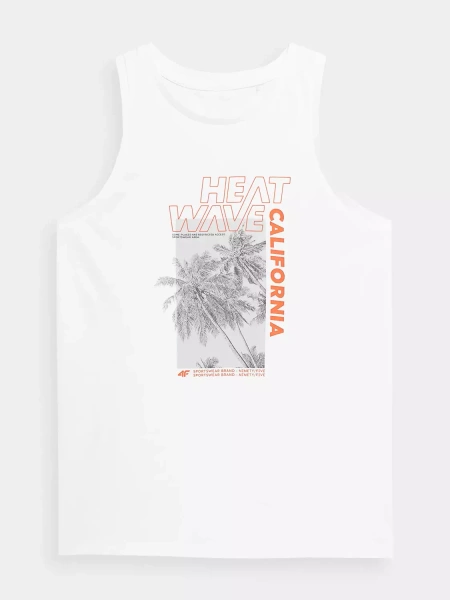 Koszulka męska 4F 4FSS23TTSHM354-10S