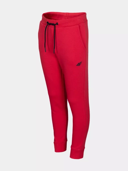 Spodnie dresowe dziecięce 4F JUNIOR HJL22-JSPMD001-62S