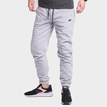 Spodnie dresowe męskie 4F H4Z18-SPMD001-27M