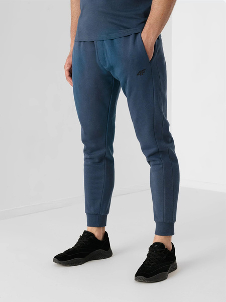 Spodnie dresowe męskie 4F NOSH4-SPMD350-32S