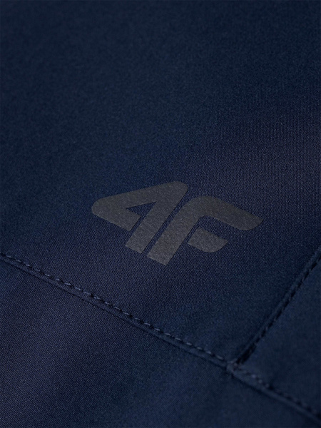 Spodnie męskie trekkingowe 4F H4Z21-SPMT001-31S