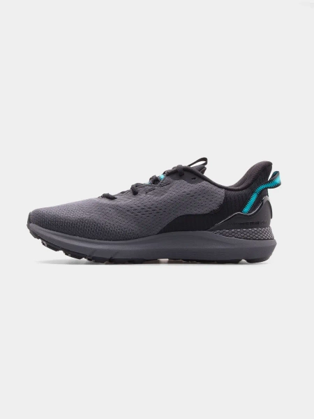 Buty męskie Under Armour Sonic Trail 3027764-101 