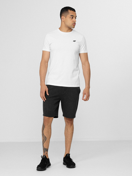 Koszulka męska 4F H4L22-TSM352-10S