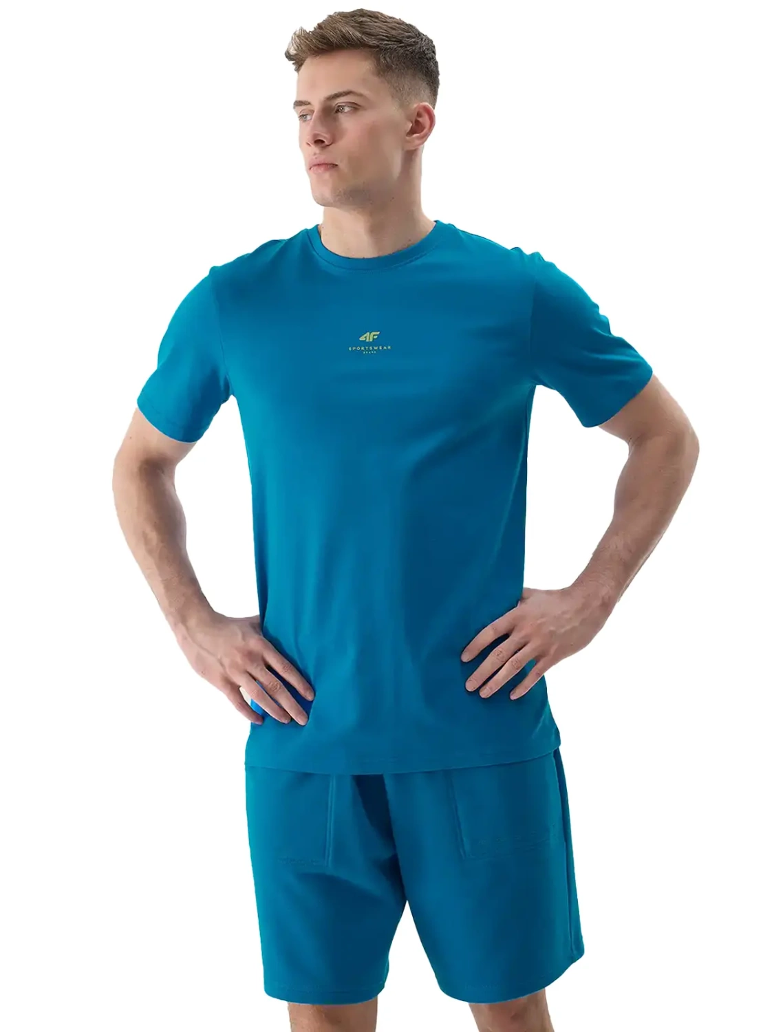 Koszulka męska 4F 4FWSS24TTSHM1282-36S