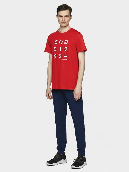 Koszulka męska 4F H4L21-TSM018-62S