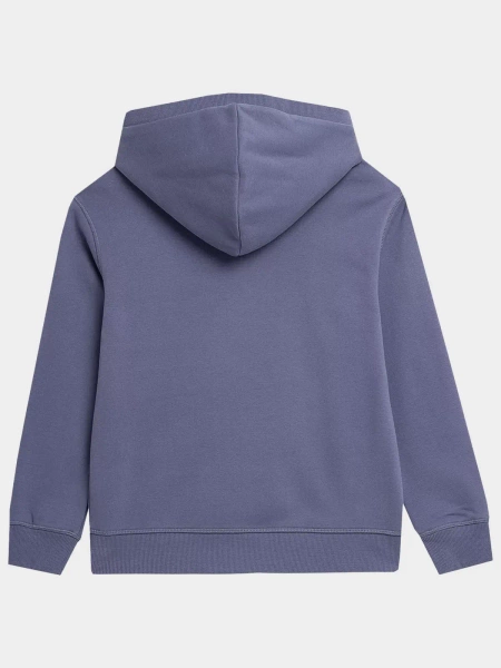 Bluza dziecięca z kapturem 4F 4FJAW23TSWSM652-32S