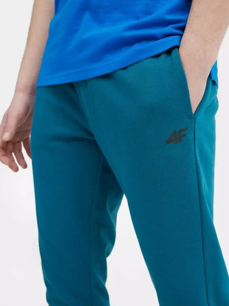 Spodnie dresowe męskie 4F 4FSS23TTROM223-32S