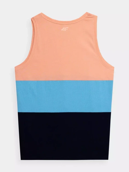 Koszulka męska 4F 4FSS23TTSHM352-64S