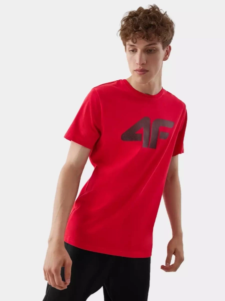 Koszulka męska 4F 4FAW23TTSHM0877-62S