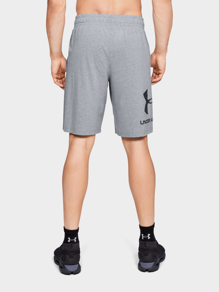 Spodenki męskie Under Armour 1329300-035