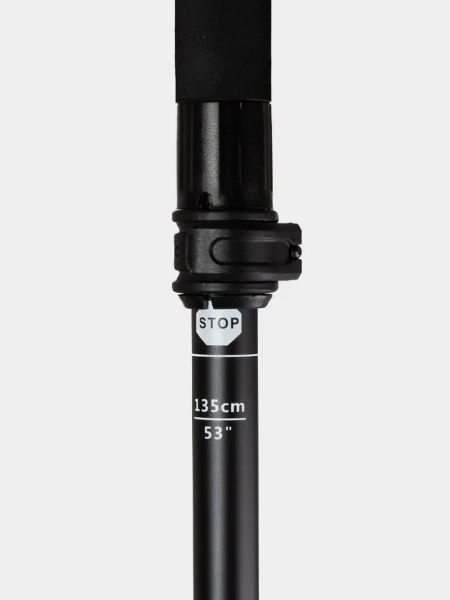 Kije trekkingowe BERGSON BTP-04