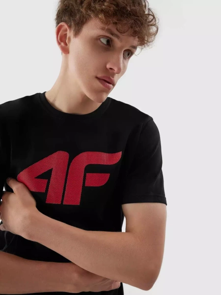 Koszulka męska 4F 4FAW23TTSHM0877-21S