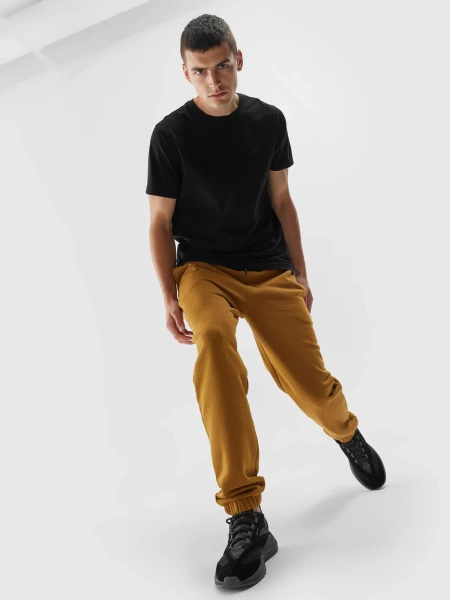 Koszulka męska 4F 4FAW23TTSHM0951-20S