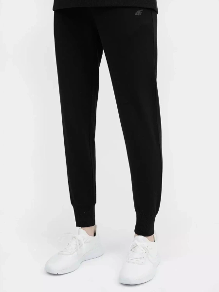 Spodnie dresowe damskie 4F 4FSS23TTROF229-20S