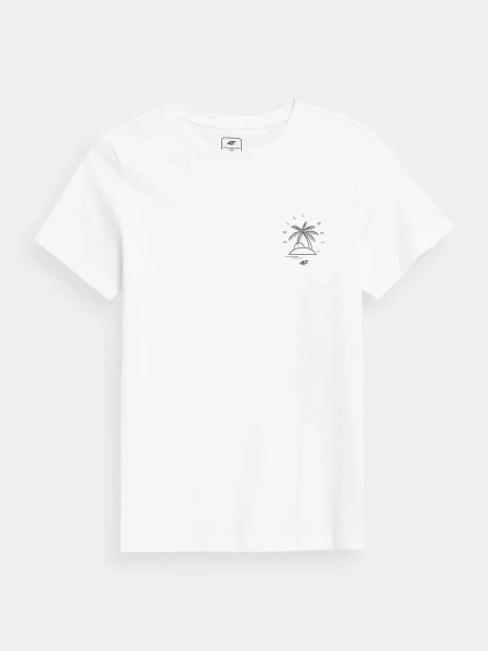 Koszulka dziecięca 4F 4FJSS23TTSHM286-10S