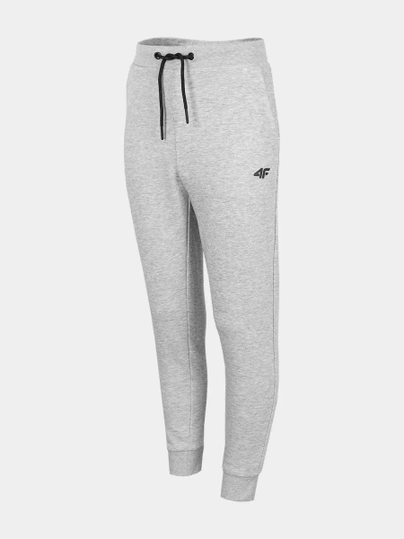 Spodnie dresowe dziecięce 4F HJZ22-JSPMD001-27M