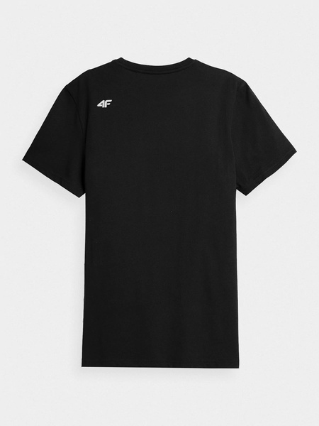Koszulka męska 4F 4FSS22TTSHM200-20S