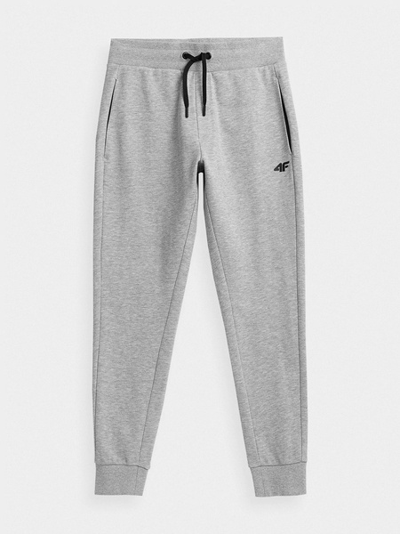 Spodnie dresowe męskie 4F NOSH4-SPMD351-27M