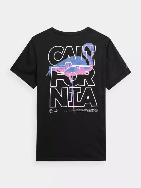 Koszulka męska 4F 4FSS23TTSHM360-20S