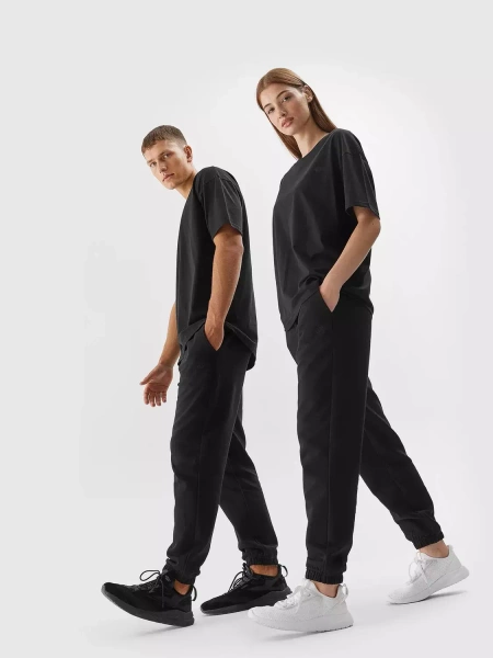 Koszulka unisex 4F 4FAW23TTSHU0885-20S