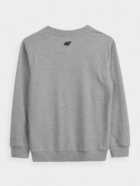 Koszulka dziecięca 4F HJZ21-JTSML003A-25M