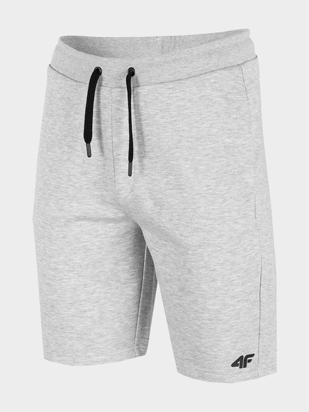 Spodenki męskie 4F H4L22-SKMD350-27M