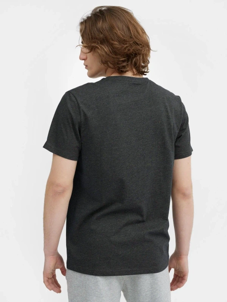 Koszulka 4F 4FWAW23TTSHM1615-90S 3-PAK 