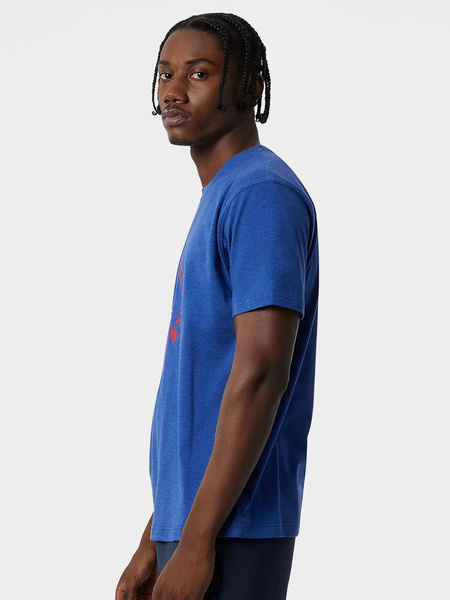 Koszulka męska New Balance MT21901-AT